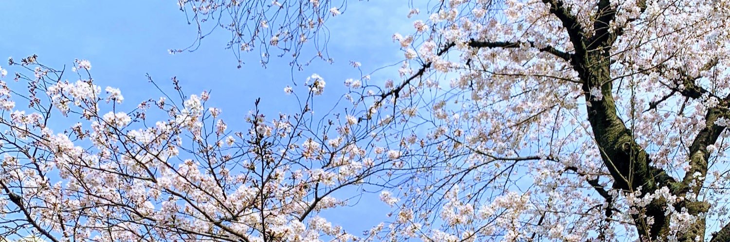 MillenniumStar's profile banner image