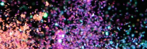 sofialtamirano6's profile banner image