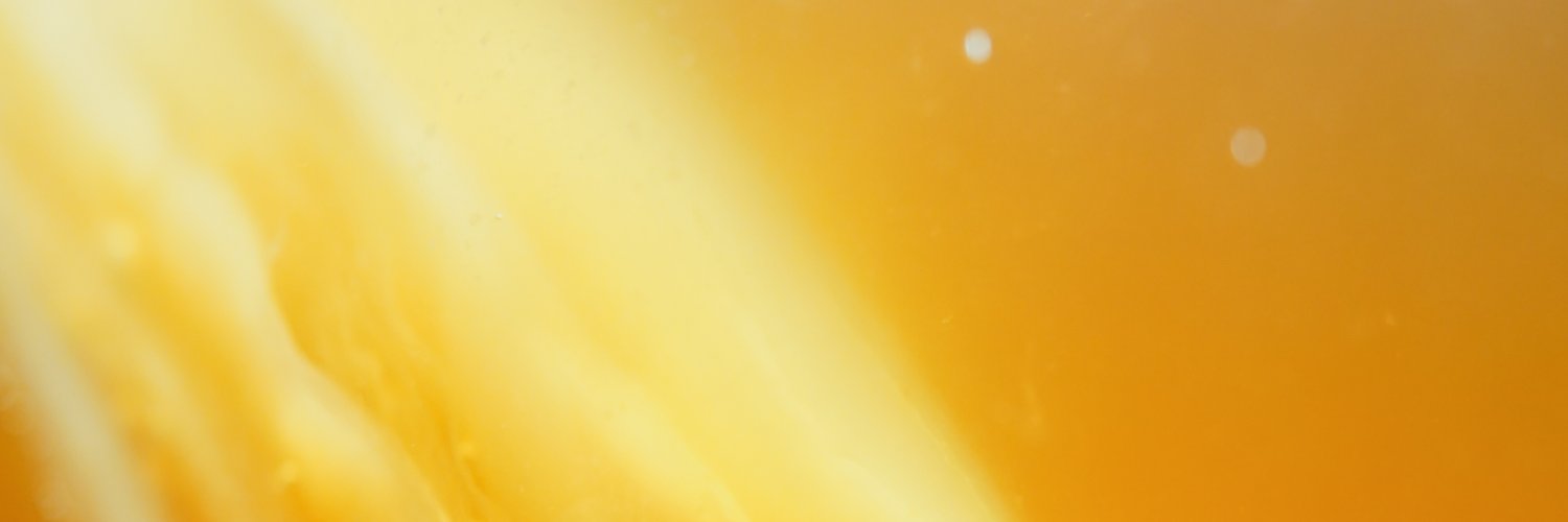 tropicalmalady banner
