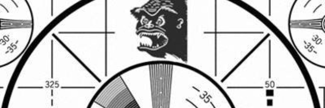 Terminatorisa's profile banner image