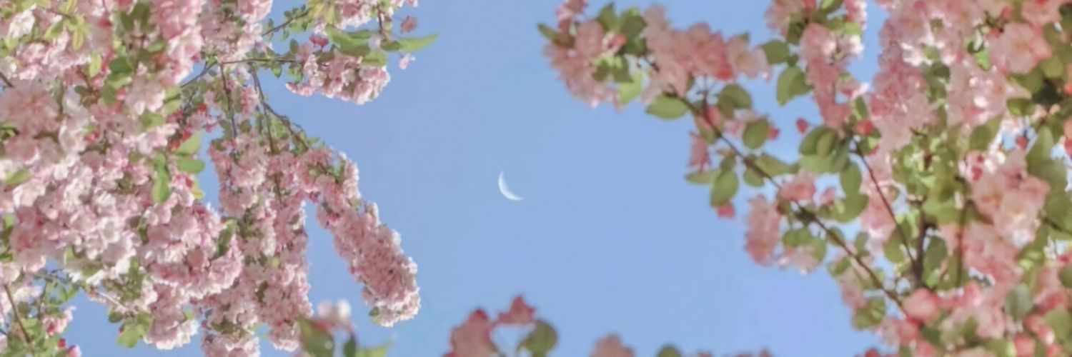 페브앤드 𝑭𝑬𝑩. 𝑨𝑵𝑫, banner