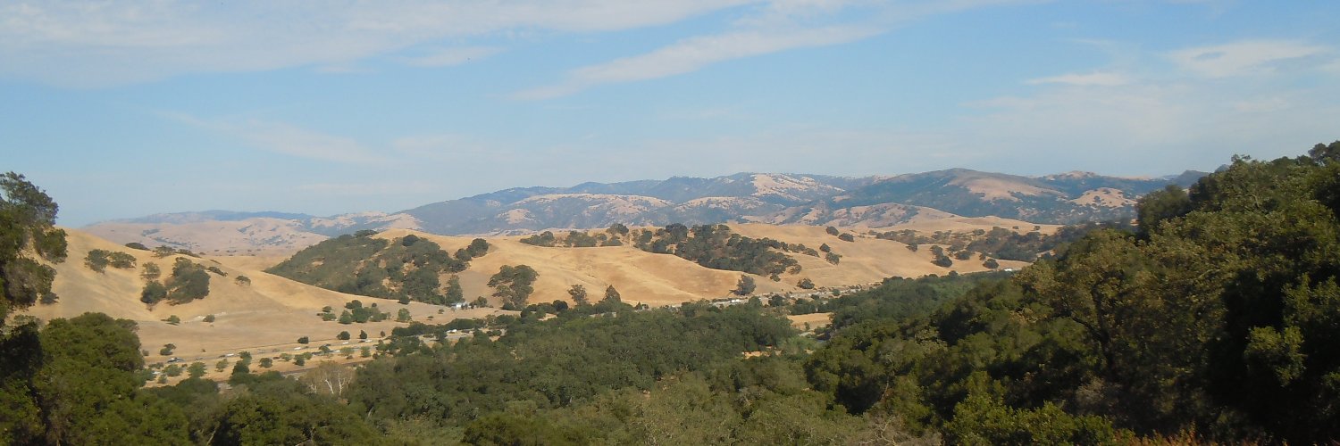 michelemammen's profile banner image
