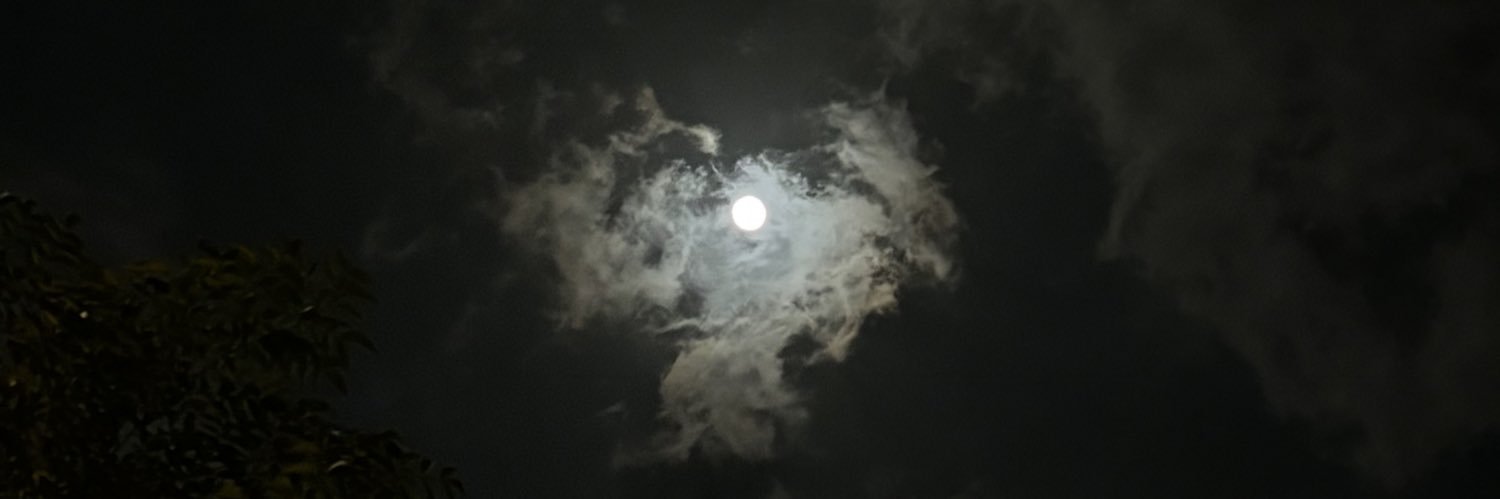 S banner