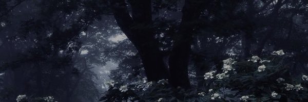 collisioncha0s_ Profile Banner