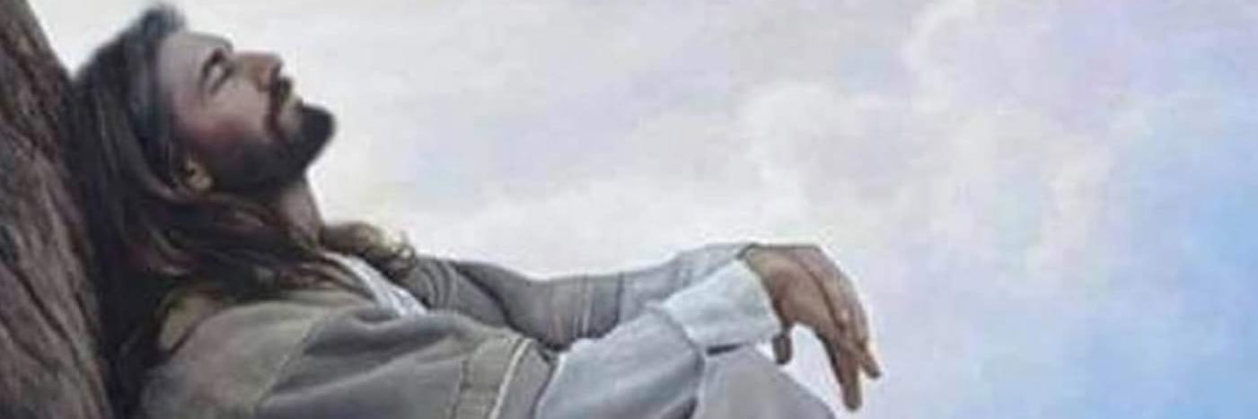 DefenderofChrist banner