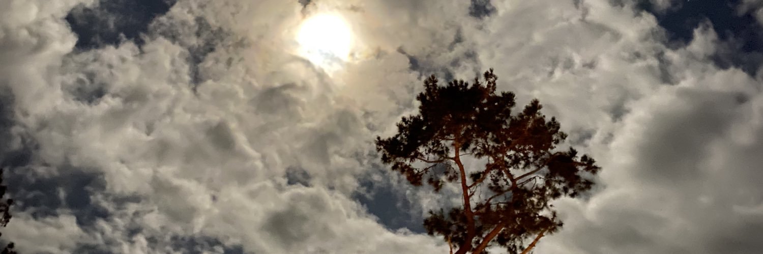 fefobriosso's profile banner image