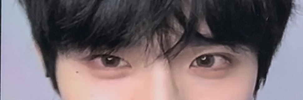 𝔯𝔬𝔬 banner