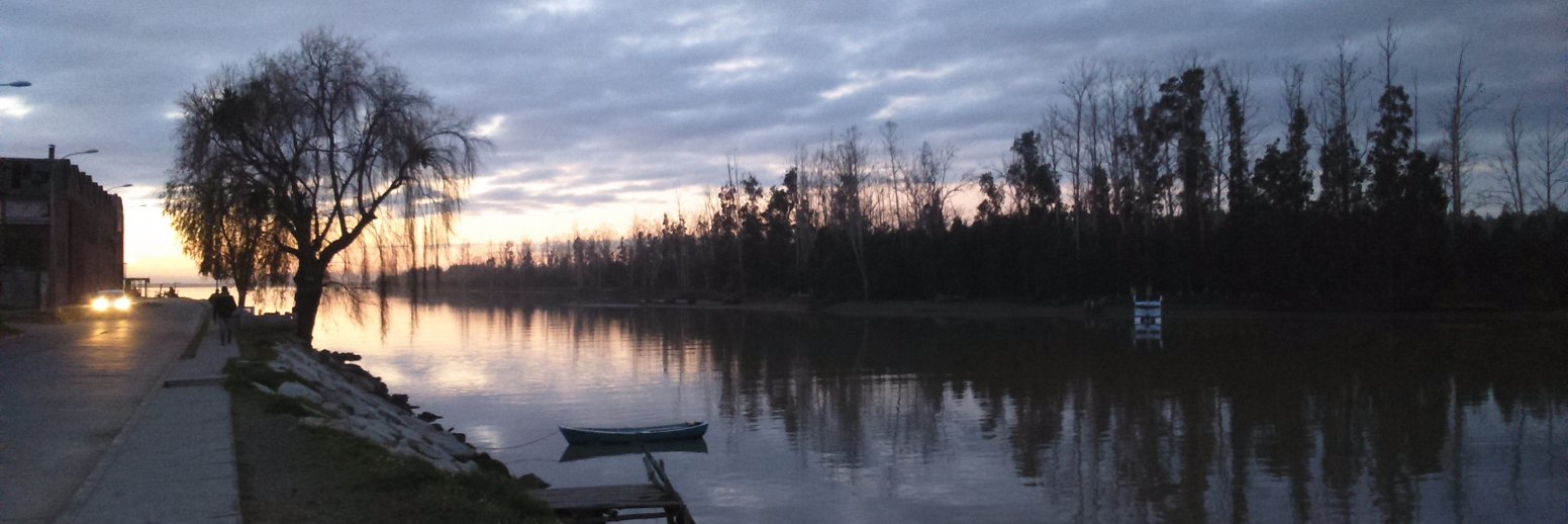 Pau ☄️🌙 banner