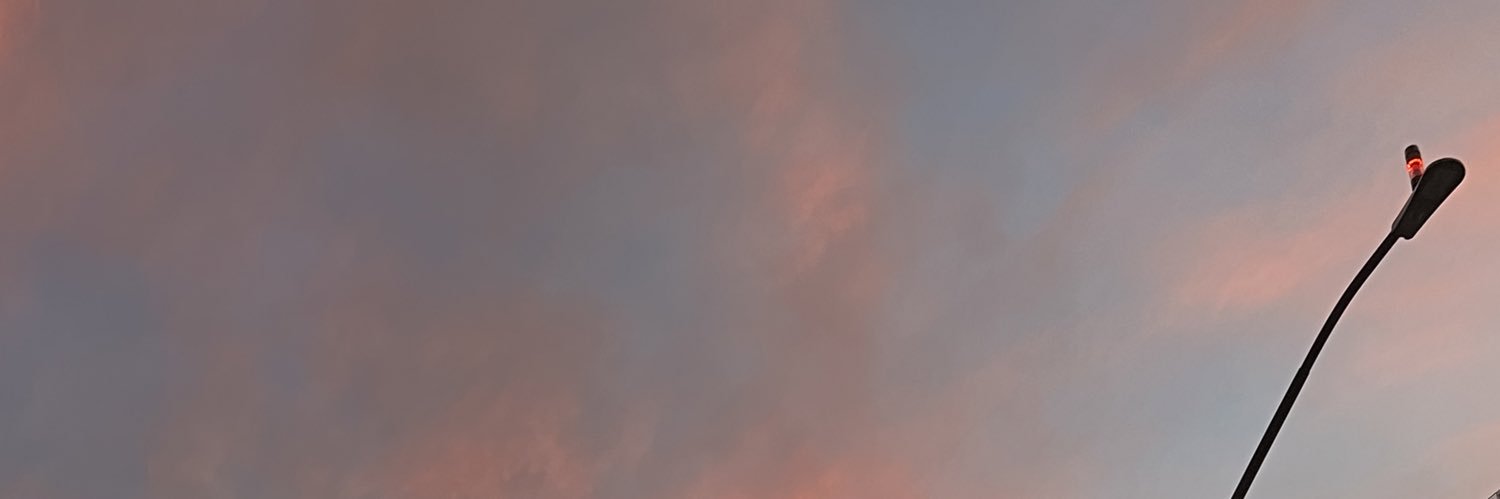 asheleyok's profile banner image