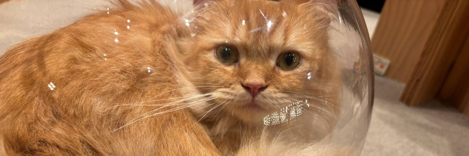 keybeky's profile banner image