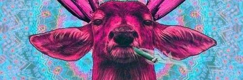 _Elchapu's profile banner image