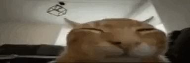 Nothing Here 🆖️ banner