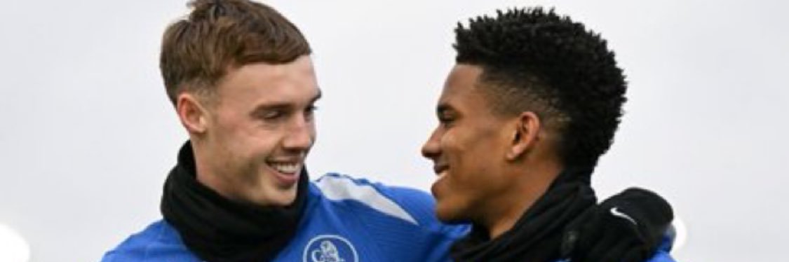 HUMBLELION🦁 banner