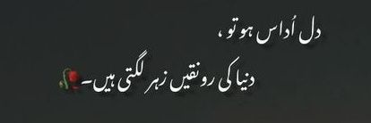 Mishal Gillani banner