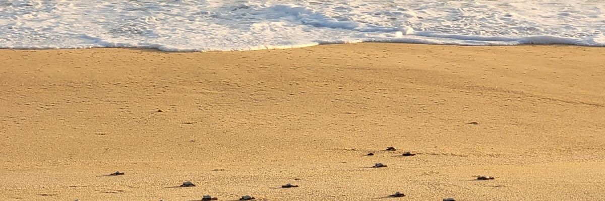 Vianneysm14's profile banner image