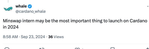 MinswapIntern Profile Banner