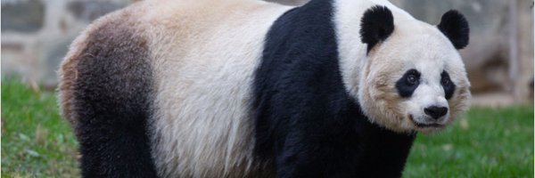 allymutnick Profile Banner