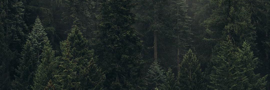 Azadin_Infrared's profile banner image