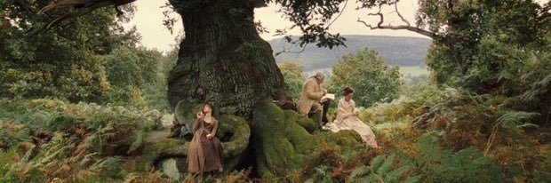 Loli • ロリ🌳💭 banner