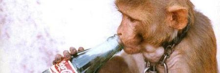 Lucas_Belzer's profile banner image