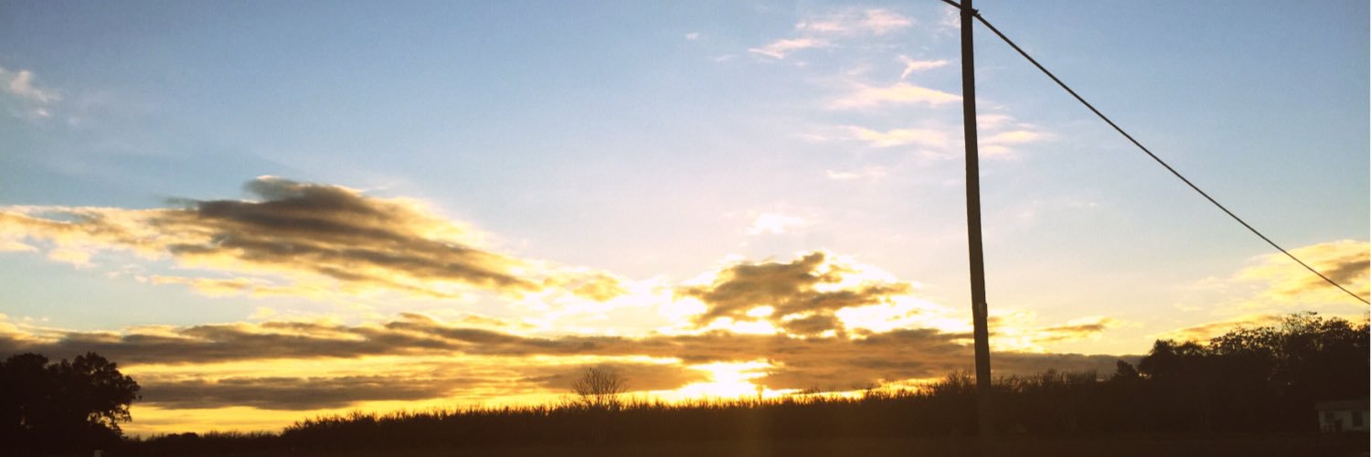_lovesels's profile banner image