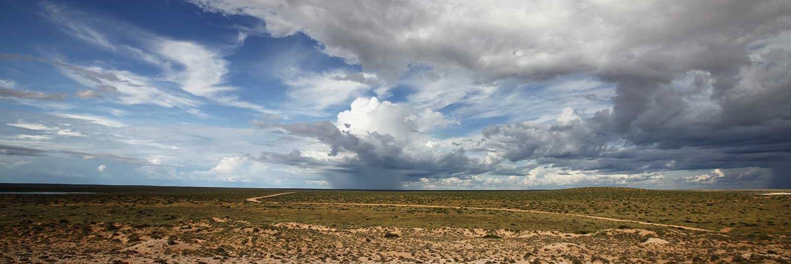 Open Road Alliance banner