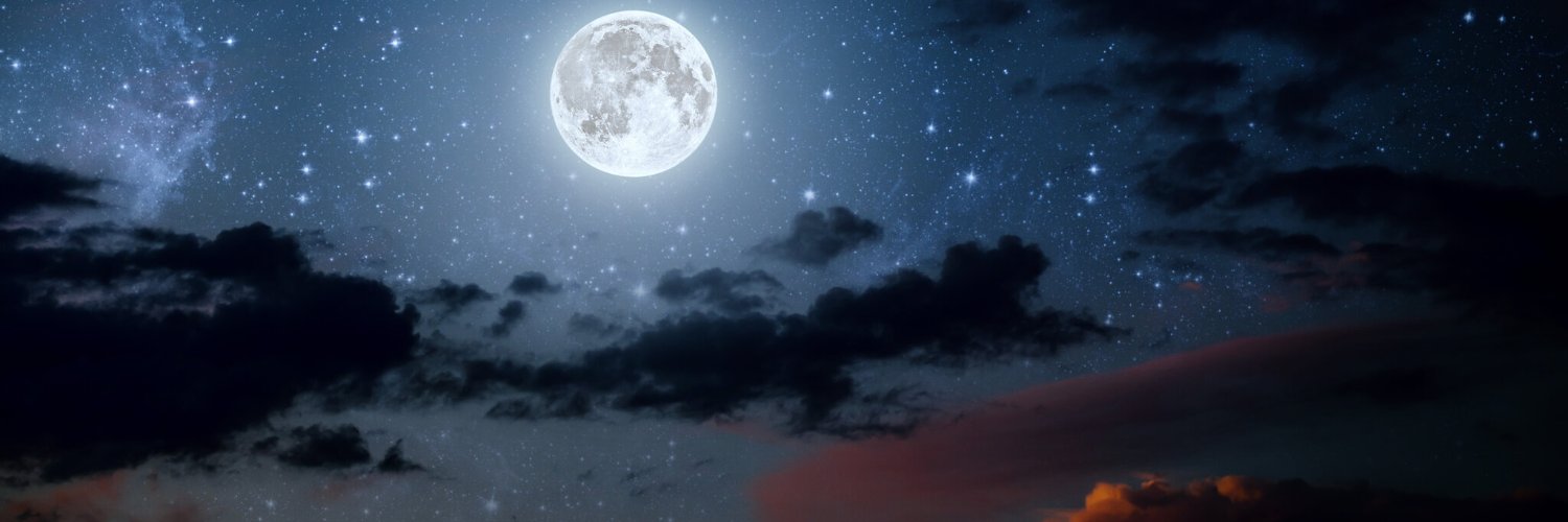 Bird of the Knight banner