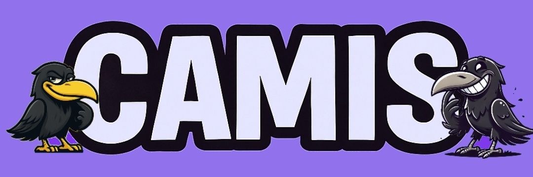 Camis Kase 🛩's banner