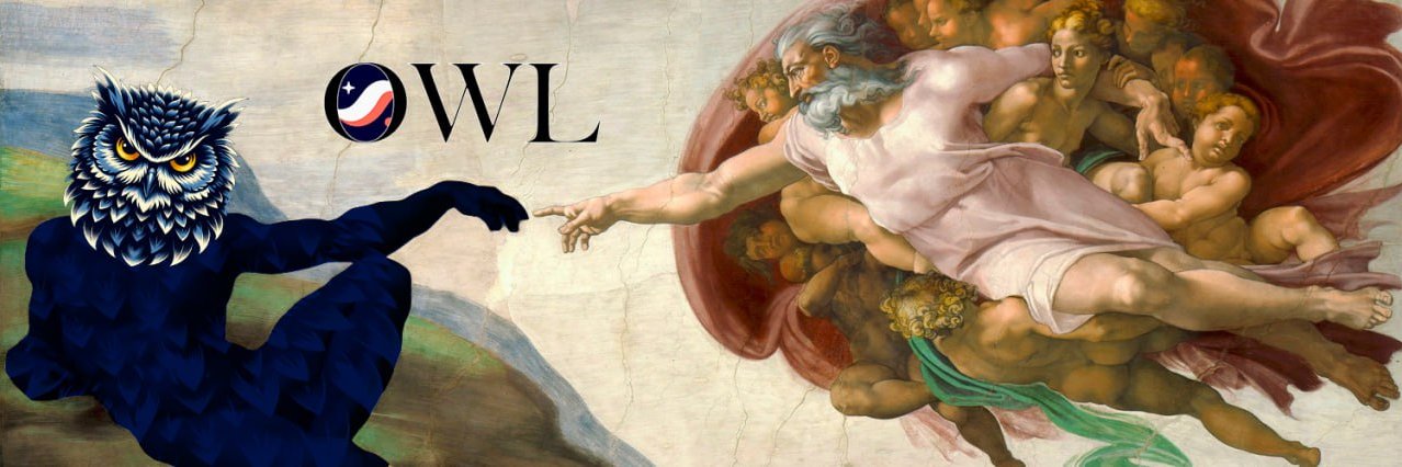 $OWL | Starknet banner