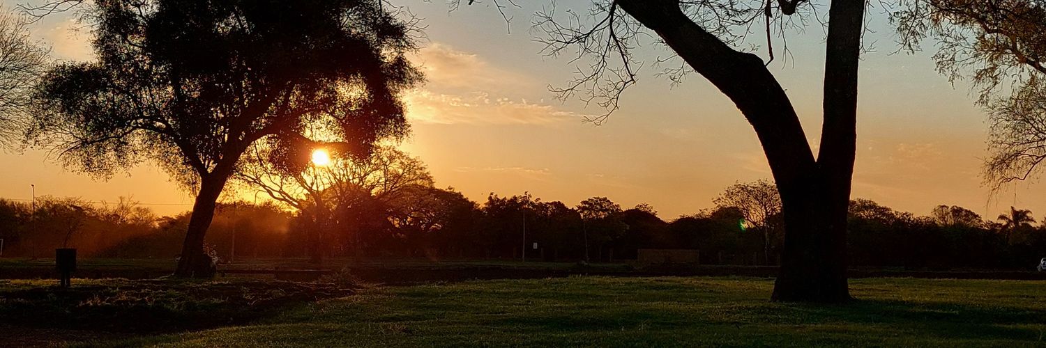 LizBarbieri's profile banner image