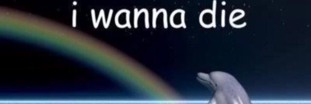 godofgaps's profile banner image