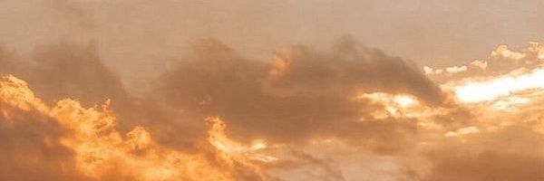 Pualette banner