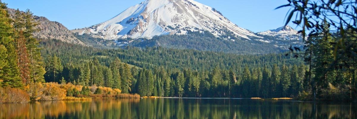 Jordan Butler banner