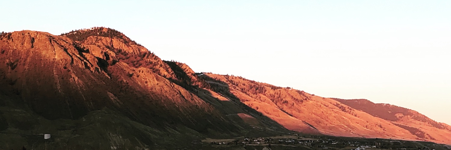 Heather McLean banner