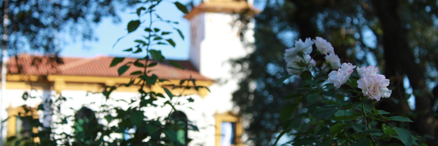 aledifantOK's profile banner image