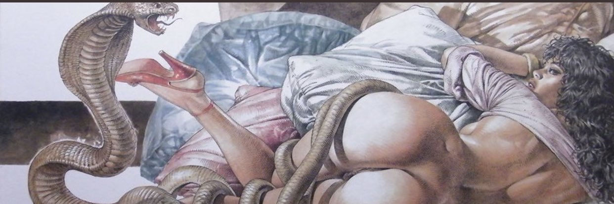 AYRESSRAQUEL's profile banner image