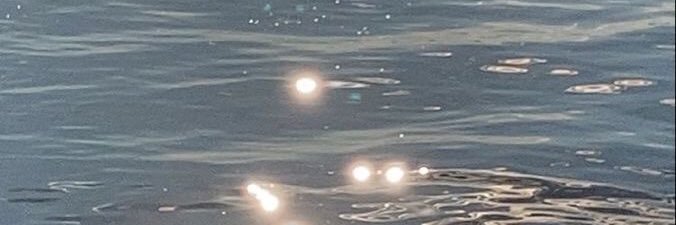 𝙚 𝙢 𝙤 𝘿 banner