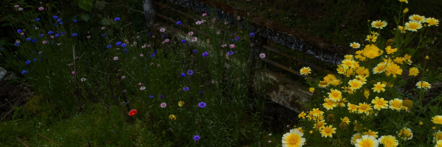mid banner