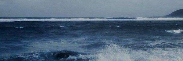 mesveix Profile Banner