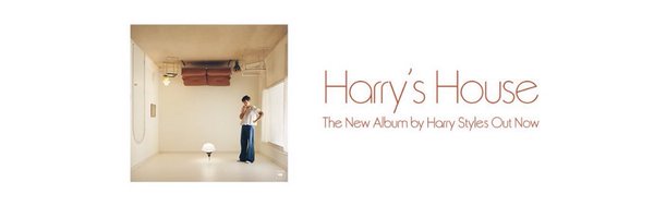 Harry Style Profile Banner