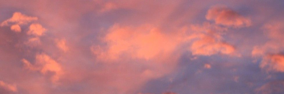 Amyli_11's profile banner image