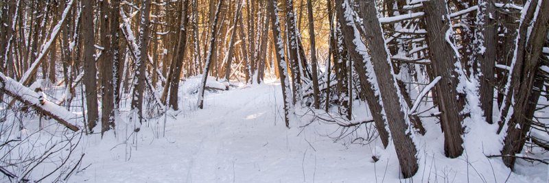 PostMulticultural banner