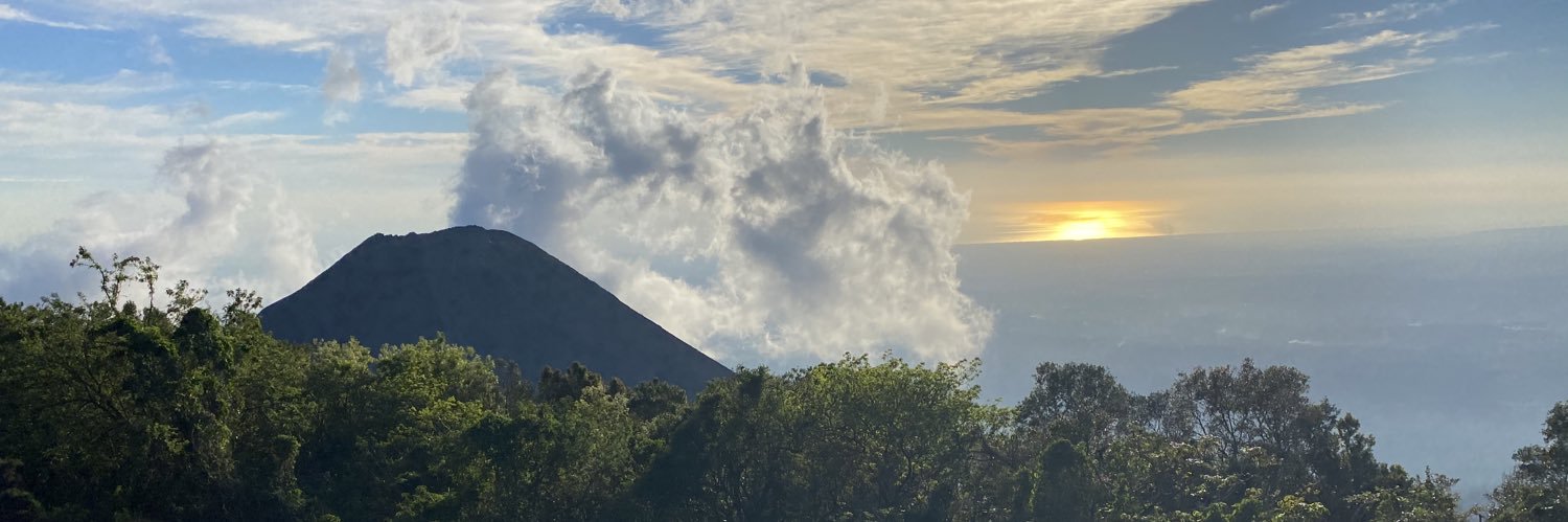 NPOGRIS's profile banner image