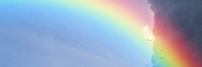 Experiment20_'s profile banner image
