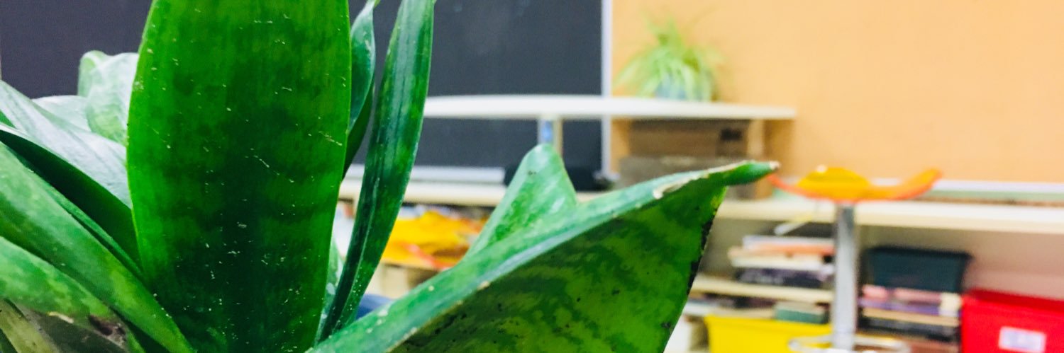 mrgmsclass's profile banner image