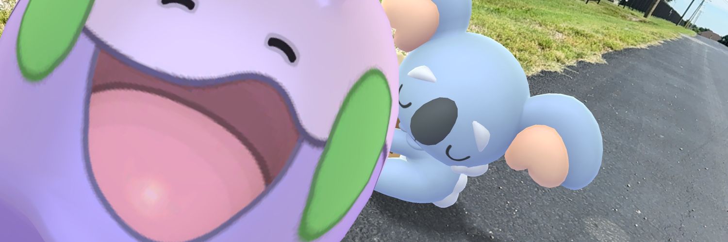 LibOfWrongress's profile banner image