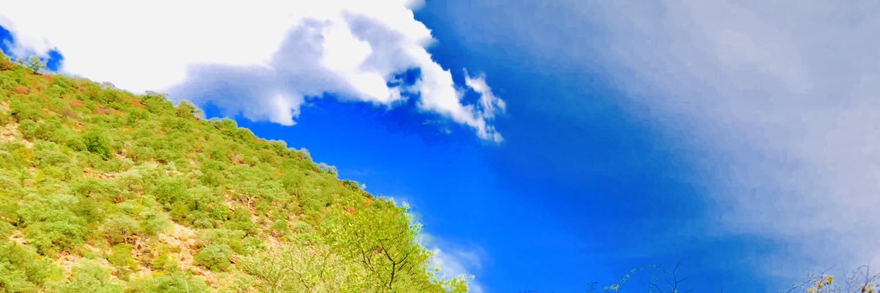 edd8870's profile banner image