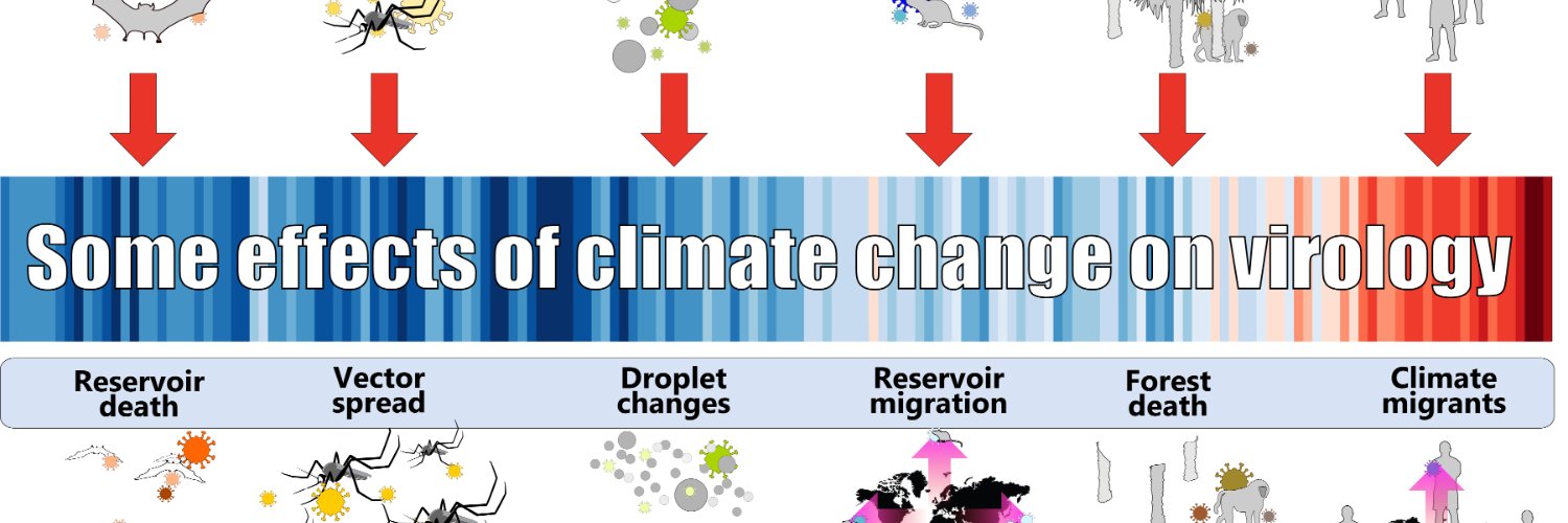Ian M Mackay, PhD (he/him) banner