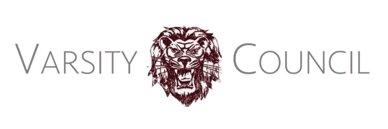 BrentLionsVC's profile banner image