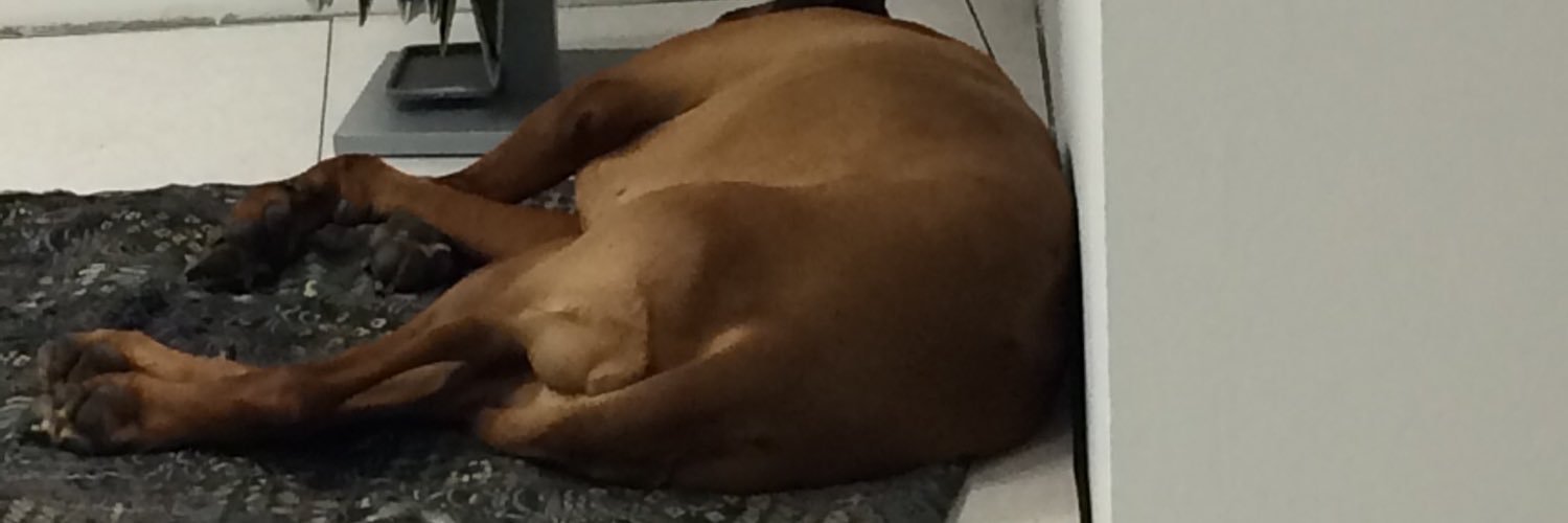 (((Der Claus))) banner